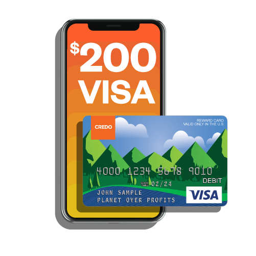 Visa