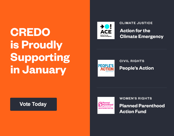 January Grantees Vote Now